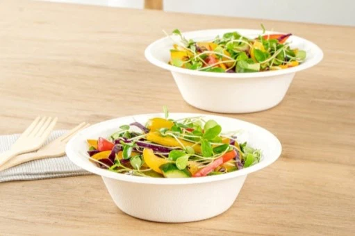 Bagasse Bowl Bagasse Bowl